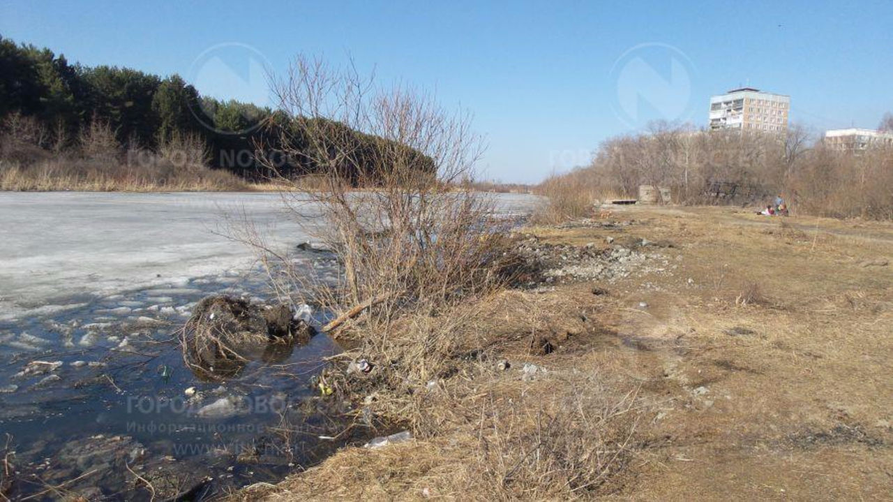 Лунный календарь дева в луне