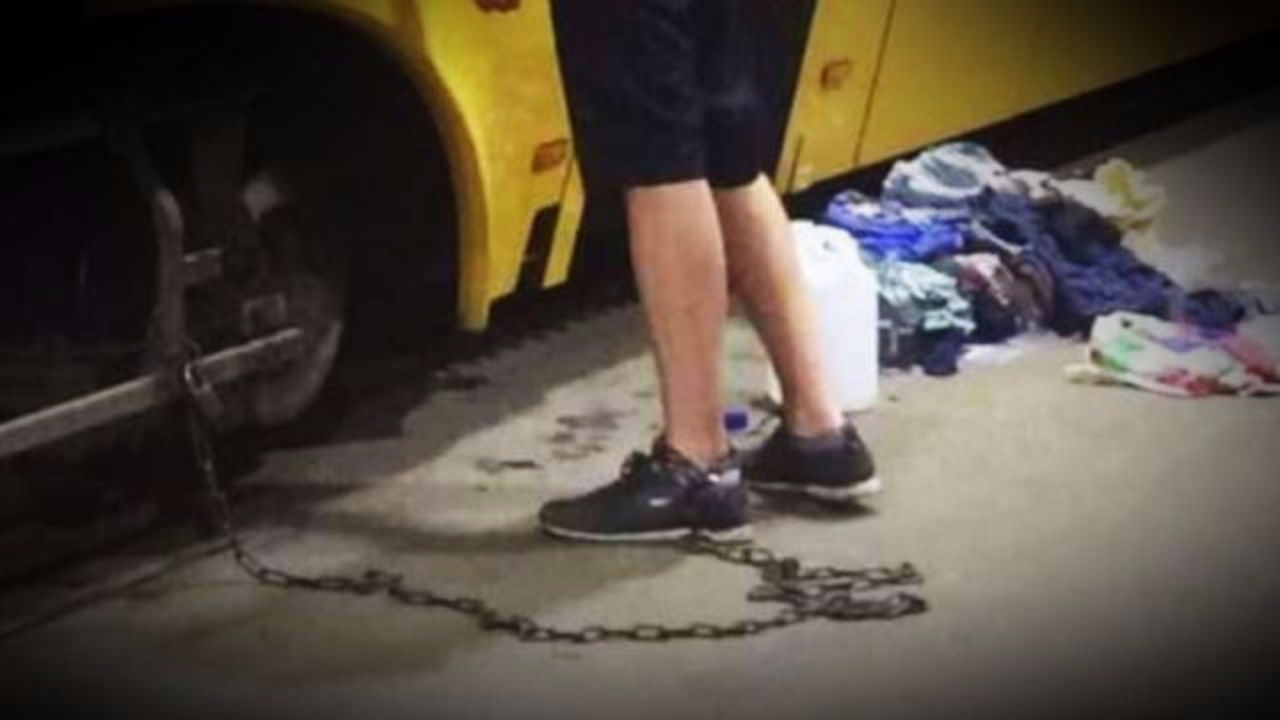 В Польше украинца «посадили на цепь» и заставили работать — Нечеловеческое отношение В Польше украинца «посадили на цепь» и заставили работать — Нечеловеческое отношение