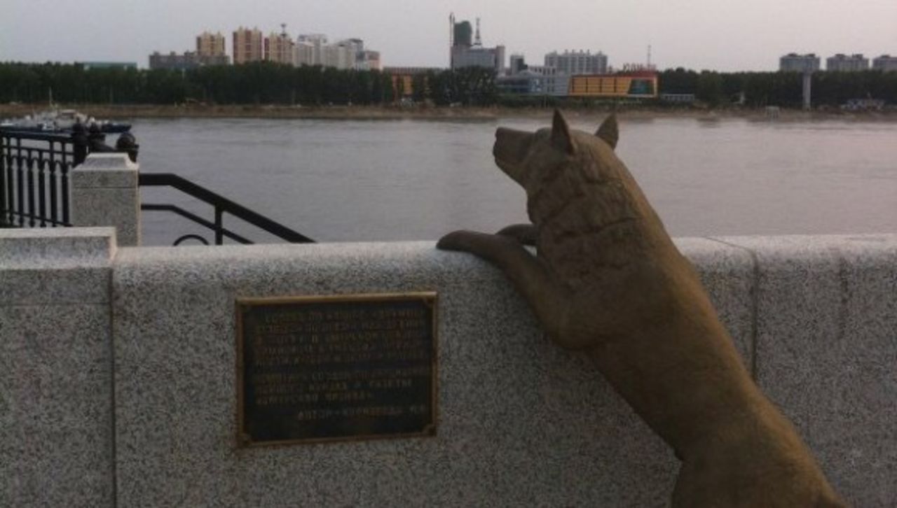 Памятник собаке по кличке дружок Благовещенск
