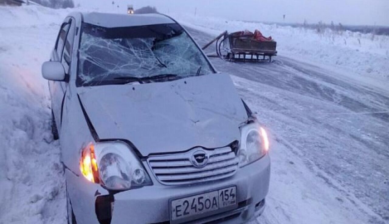 В Новосибирской области деревенский конь спровоцировал дорожную трагедию В Новосибирской области деревенский конь спровоцировал дорожную трагедию