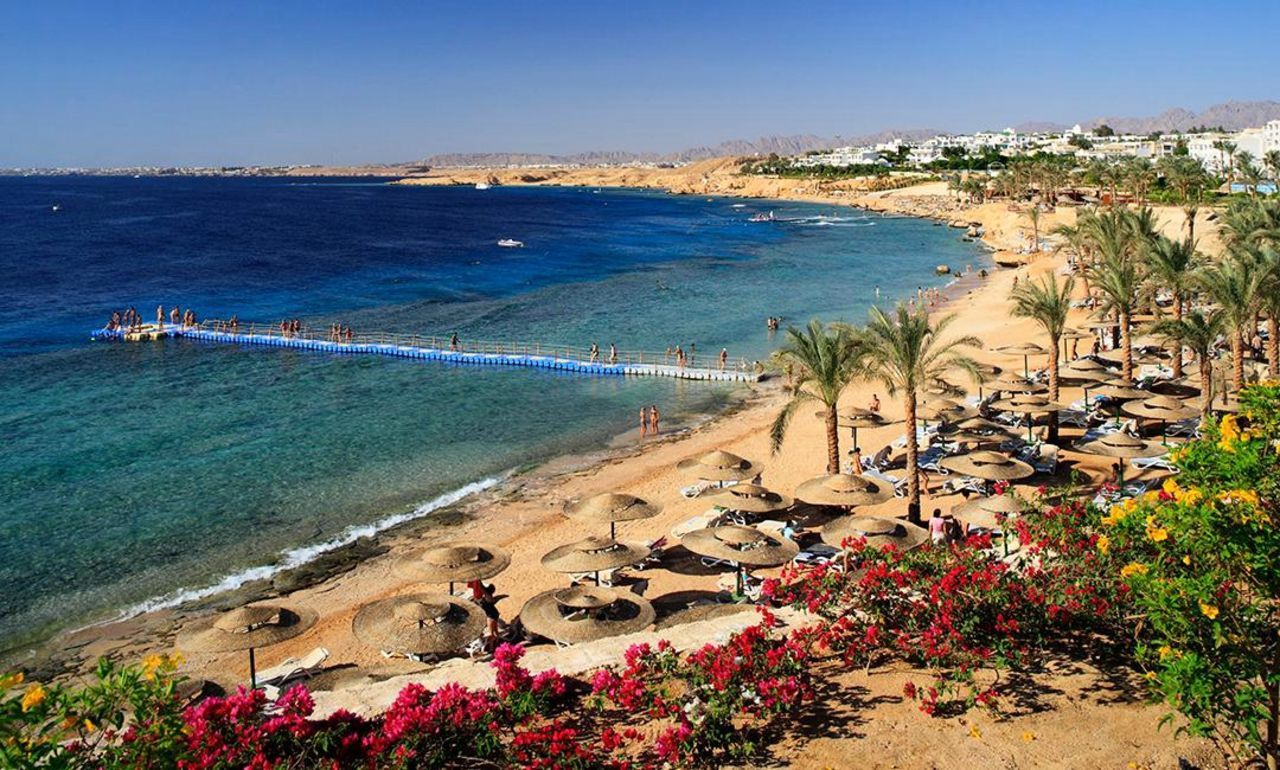 Ростуризм попросил потребовать гарантий безопасности курортных зон Египта