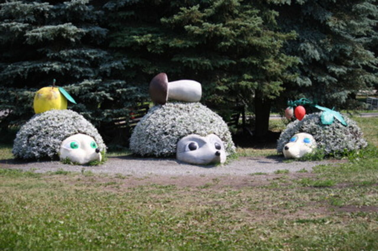 Ежик из цемента Ежик из цемента