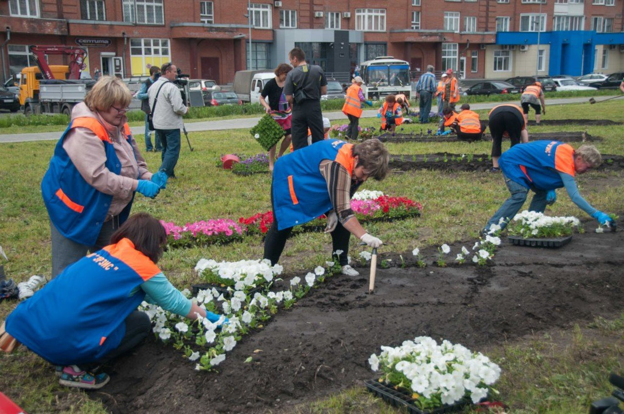 Городская посадка Городская посадка
