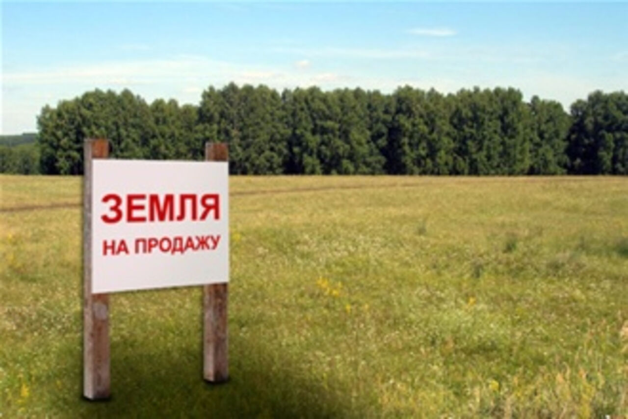 «Известия»: депутат предложил запретить иностранным компаниям покупать земли в России Иностранным компаниям могут запретить покупать госземли