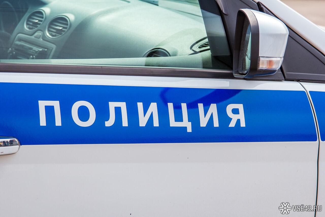 Столичная милиция начала проверку видео с жестоким избиением кота Столичная милиция начала проверку видео с жестоким избиением кота