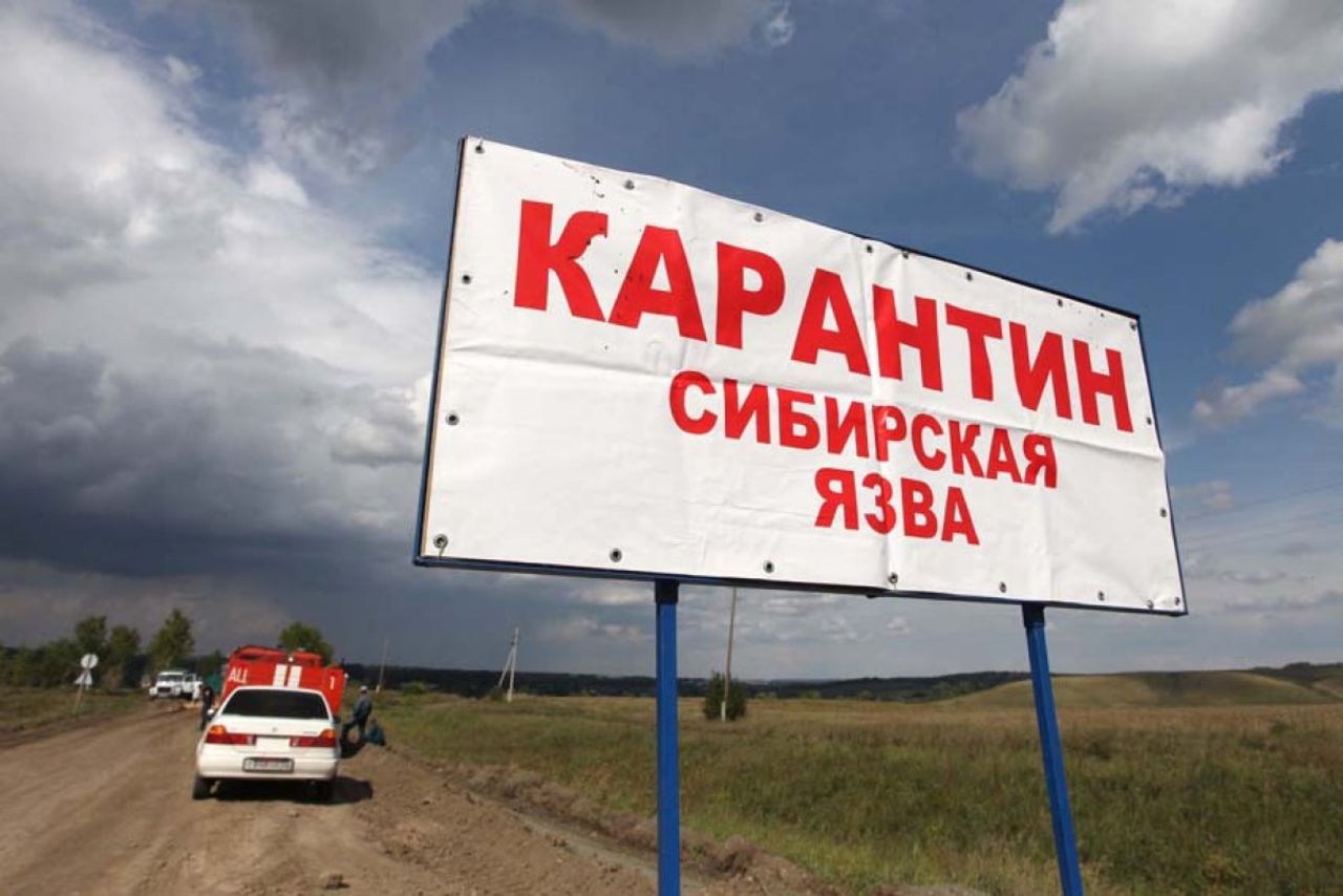 Новости слухи дома 2 за 4 дня