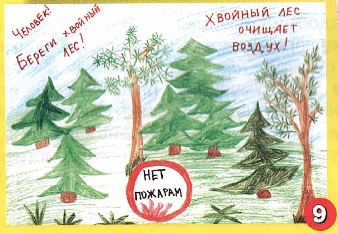 Лес плакат для детей