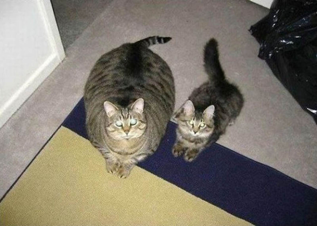 🖼