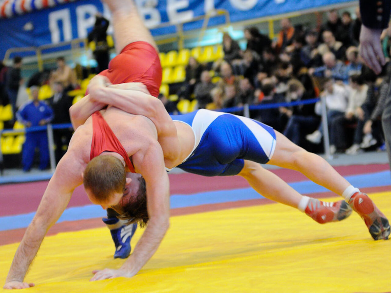 Борец Семенов завоевал бронзу чемпионата Европы в категории до 59 кг Борец Семенов завоевал бронзу чемпионата Европы в категории до 59 кг