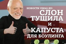 Новости VSE42.Ru: слон Тушила и капуста для боулинга