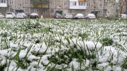 Накануне Дня Победы в Кемерово вернулась зима