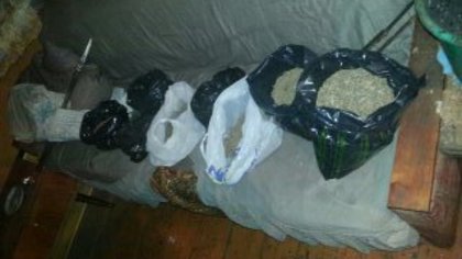 Житель Киселёвска хранил дома 1,5 кг марихуаны