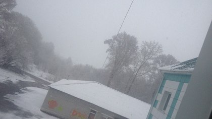 В последний день апреля в Кузбассе выпал снег