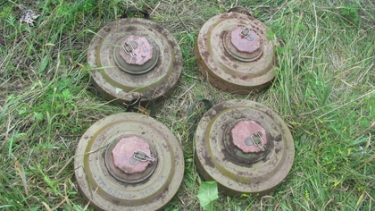 В Амурской области нашли 50 противотанковых мин