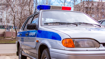 В Свердловской области пьяный водитель насмерть сбил двух девочек