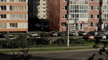 Администрация Кемерова рассказала, зачем рубит деревья на проспекте Шахтеров