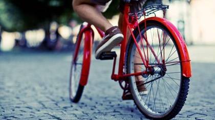 Велосипедист насмерть забил водителя в Брянской области