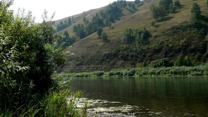 Специалисты нашли опасные бактерии в кузбасской реке