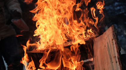 Петербургские школьники попытались заживо сжечь 14-летнюю девочку
