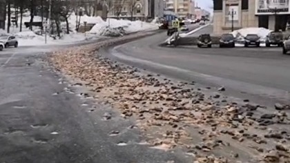 Водитель вывалил на дорогу в Петропавловске-Камчатском тонны рыбных отходов