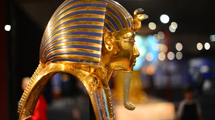Кемеровские приставы наказали смертельно опасного египетского 