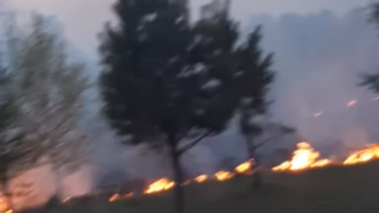 Серьезный пожар произошел на кладбище в Кузбассе