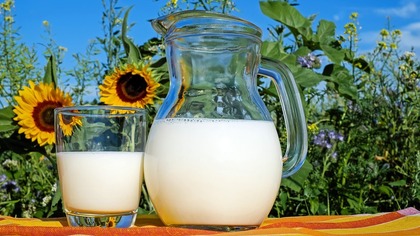 Специалисты РТПП предупредили о возможном повышении цен на молочные продукты в РФ