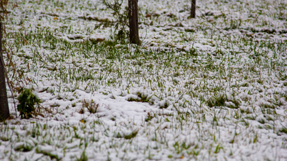 Снегопады и гололед: кузбасские синоптики составили прогноз на воскресенье