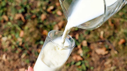 Кузбасское молоко провалило тест на натуральность в Бурятии