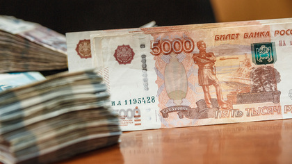 Более 5 млн россиян подали заявления на единовременные детские выплаты