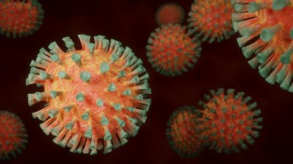 Число зараженных коронавирусом в России приблизилось к 200 тысячам