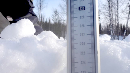 10-летний рекорд: ученые заявили о небывалом объеме снега на юге Кузбасса