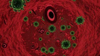 Врач из РФ: ученые нашли связь между II группой крови и смертностью от коронавируса