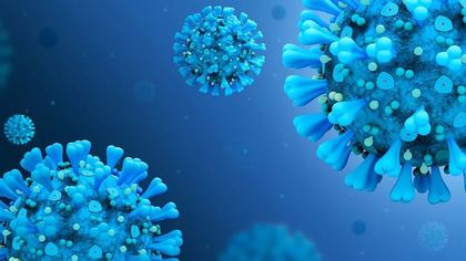 Эстонские ученые выявили уникальные мутации коронавируса