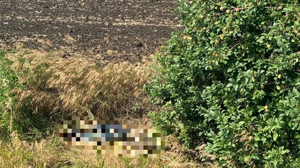Путешественник нашел в Саратовской области труп у дороги