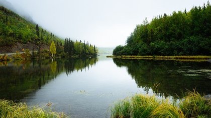 Повышение уровня реки Томь привело к введению режима ЧС в Амурской области