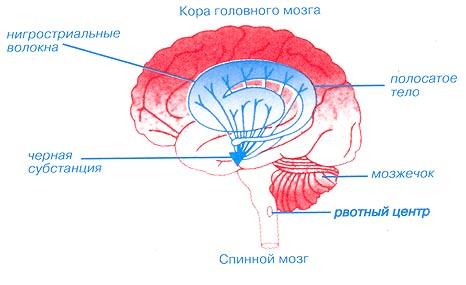 головной офис технобанка
