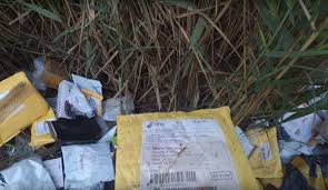 В Ростове-на-Дону рыбак нашел свалку недоставленных вскрытых посылок 