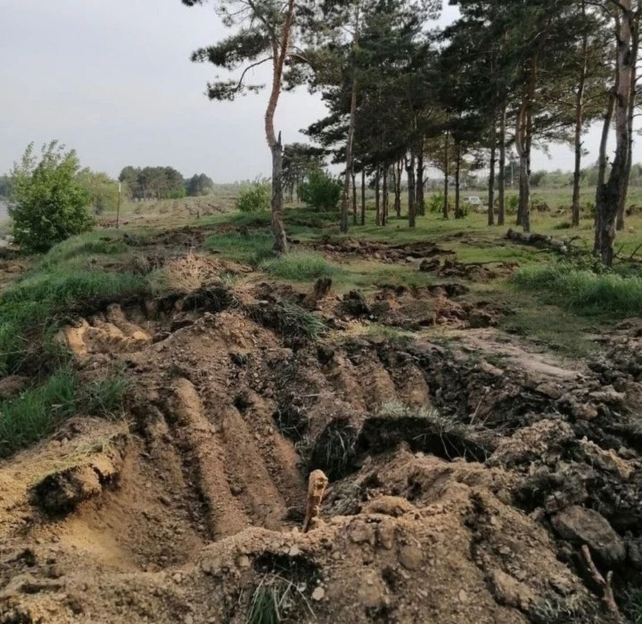 беловское водохранилище отдых