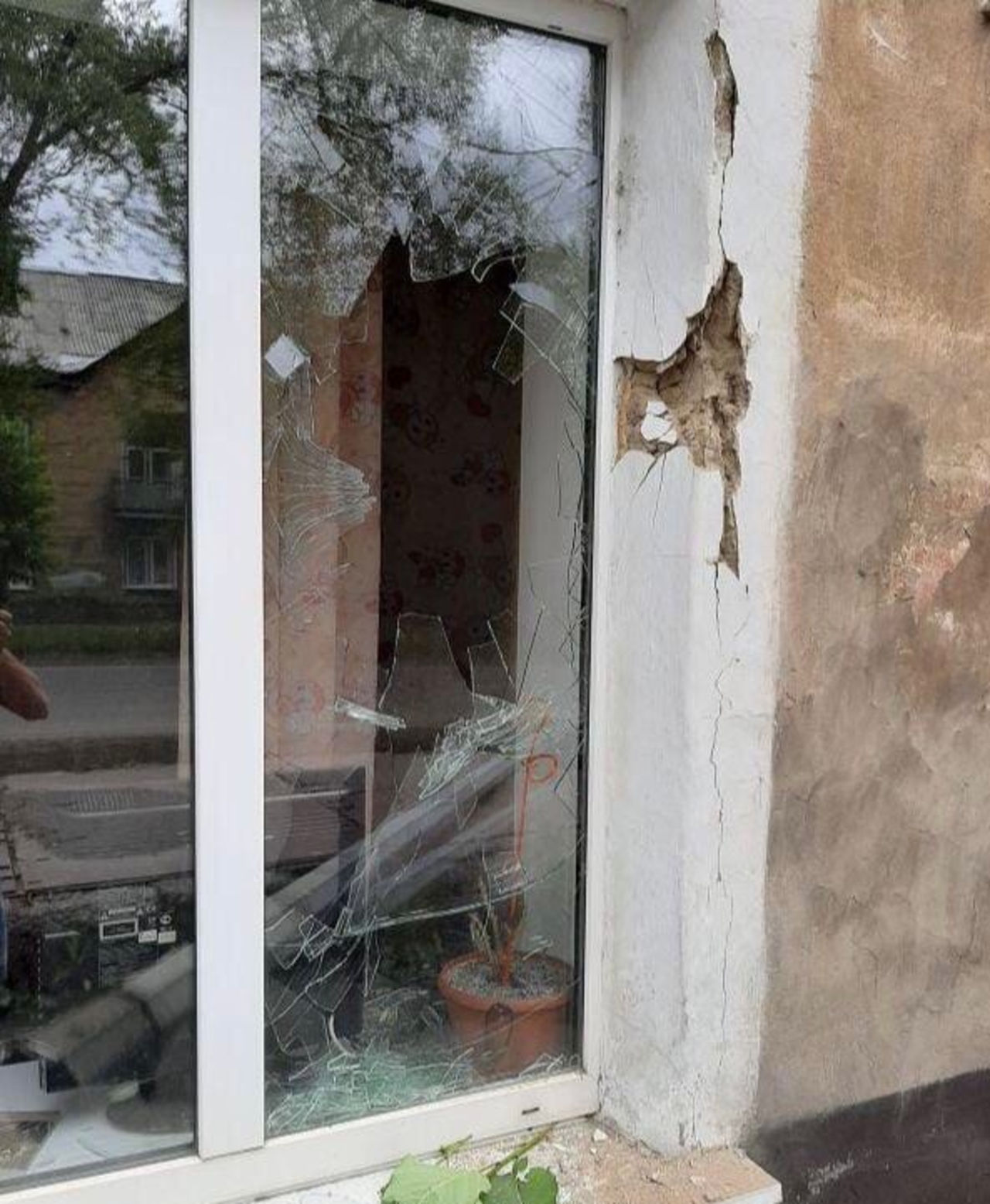 Птицы ударились в окно дома. Разбитые окна. Разбитое окно в квартире. Дом с выбитыми окнами. Врезался в окно.