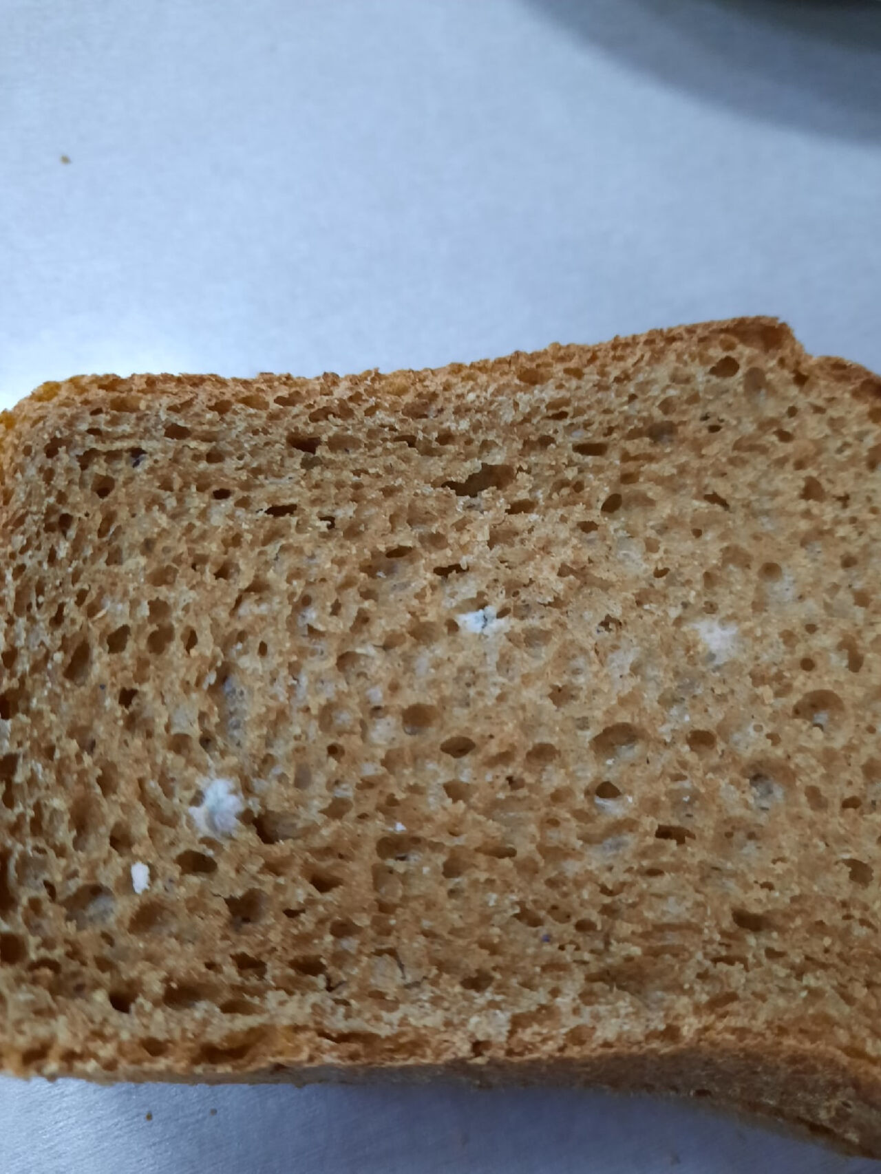Хлеб без плесени