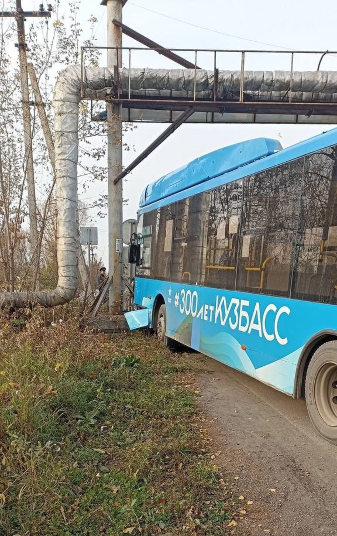 Абагур лесной автобусов 56