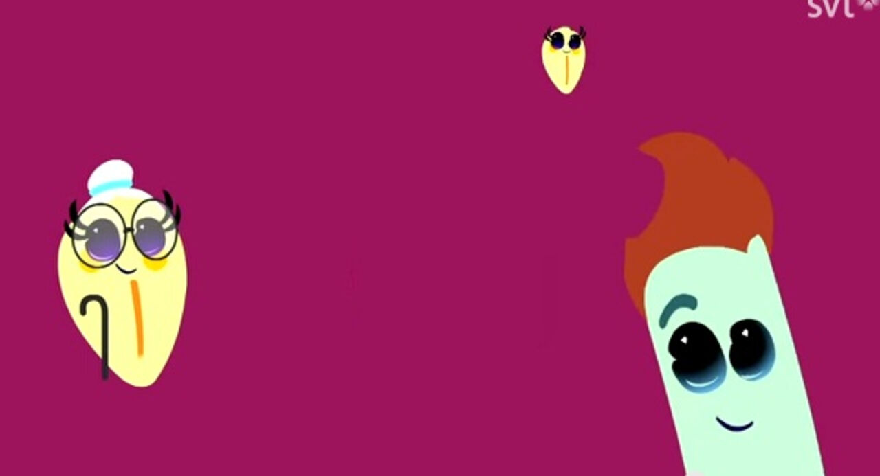 ����� ������� ������� ������ #6