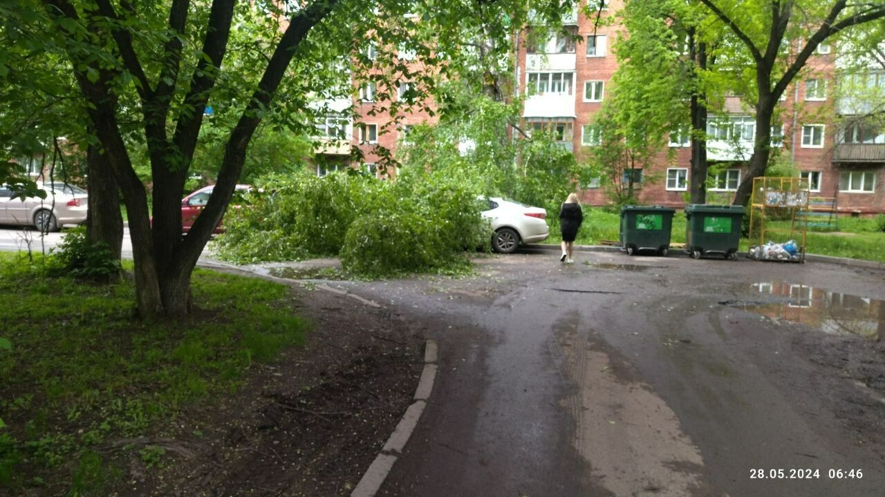 Упавшая на автомобиль огромная ветка перекрыла выезд со двора в Кемерове /  VSE42.RU - информационный сайт Кузбасса.