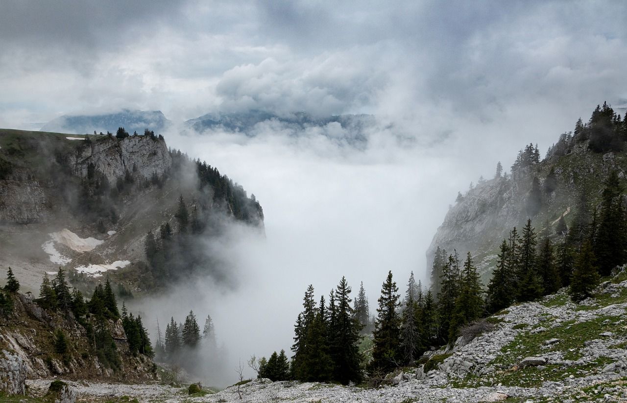 Густой туман в горах