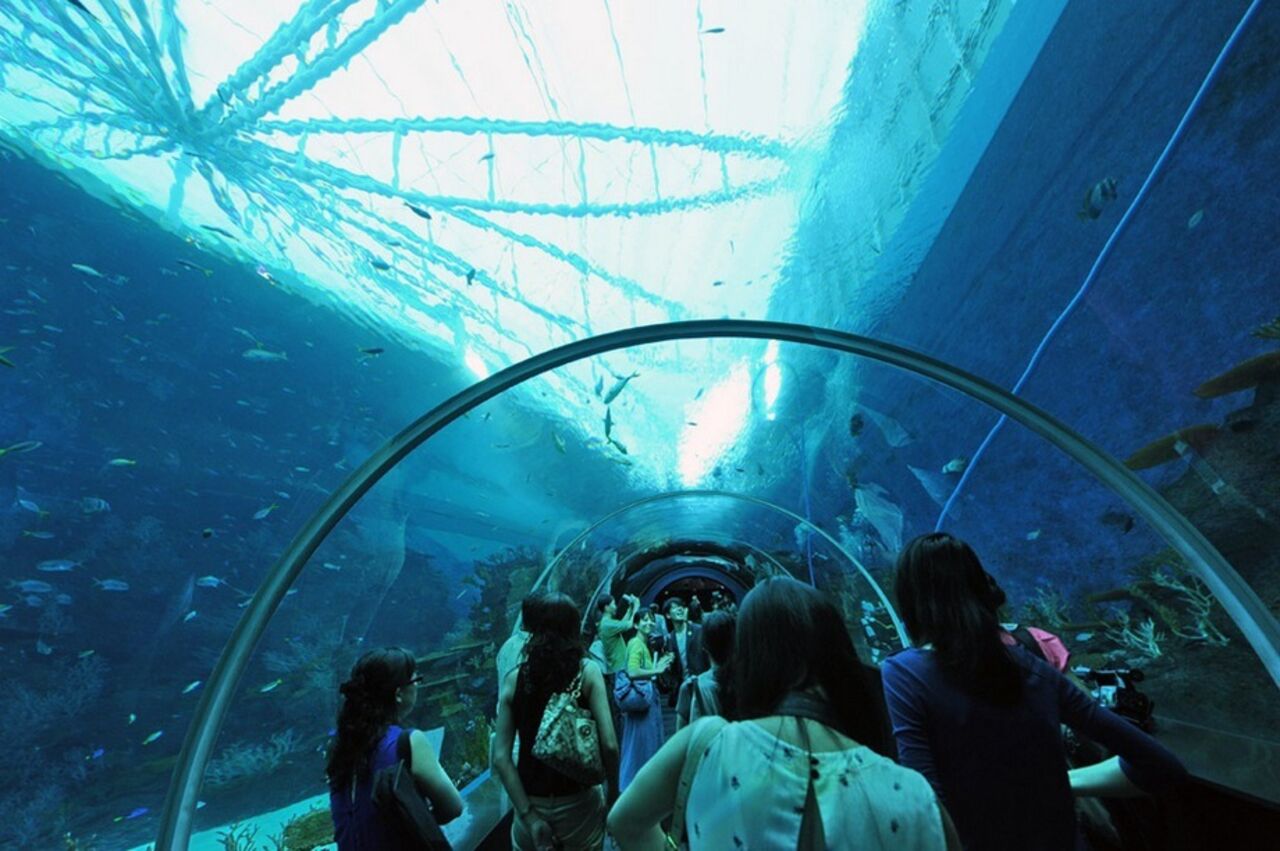 Открой самые большие. Сингапур Сентоза океанариум. Marine Life Park, Сингапур. Морская жизнь (океанариум, Сингапур). Самый большой океанариум Сингапур.