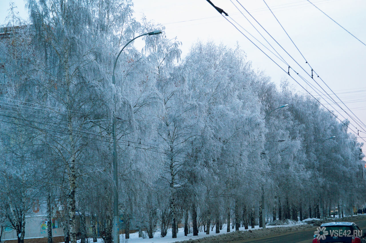 Погода кемеровская область 14 дней. Метеорологи Кузбасса. Пасмурно Кузбасс. Синоптики Кузбасса оценили состояние воздуха в феврале. Лето резко сменит зиму в Кузбассе.