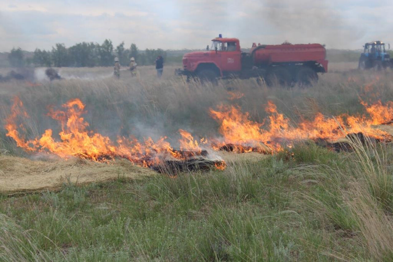 Поверхностный пожар. Лесной пожар Оренбургская область Новоорский район. Пожар в степи. Степные и полевые пожары. Степь в огне.