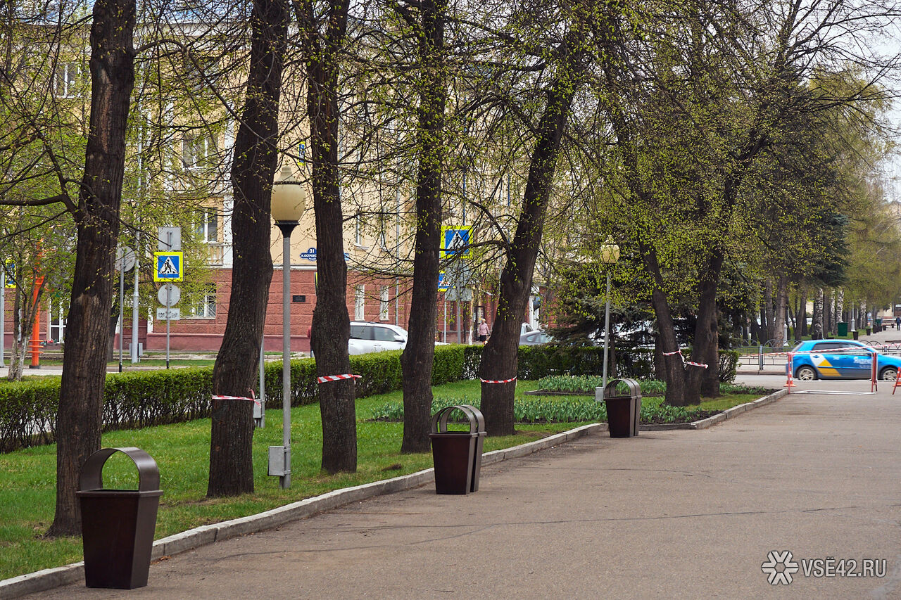 Аллеи кемерово. Аллея героев Кемерово. Липы героев аллея героев Кемерово. Аллея на Кирова Кемерово. Аллея в Кировском районе Кемерово.