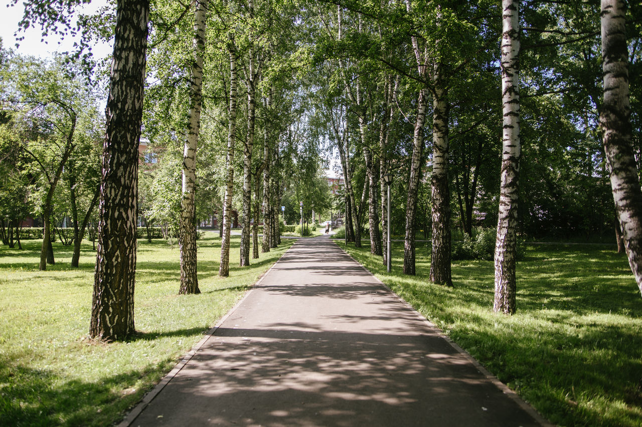 Сквер кузнецова новокузнецк фото